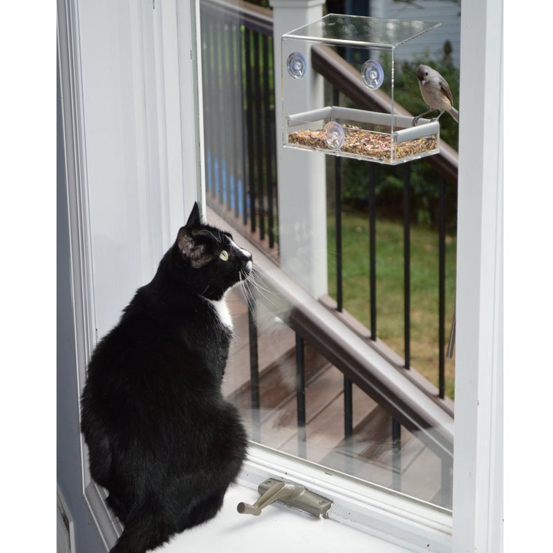PetFusion Tranquility Window Bird Feeder in Premium Lucite Acrylic. (I) Removable Tray, (II) 3 Perches, Clear - Image 2